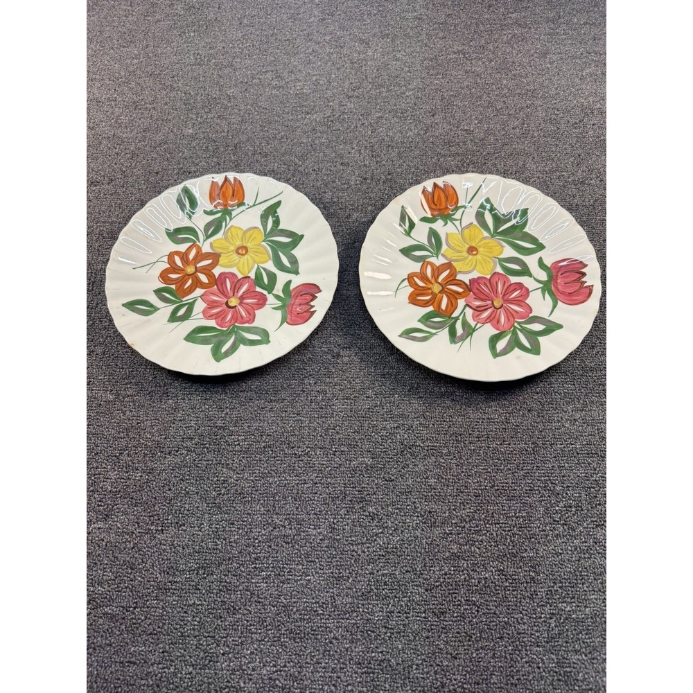 Vintage Blue Ridge Southern Potteries Hand Painted Floral Plates Set Of 2 USA